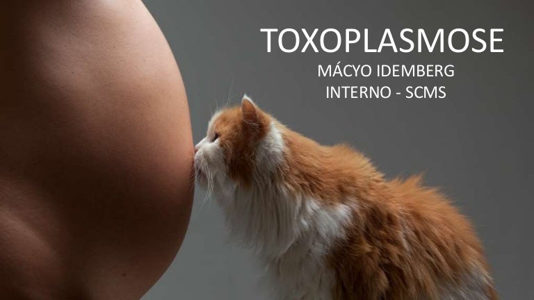 toxoplasmose portugues toxoplasmose portugues
