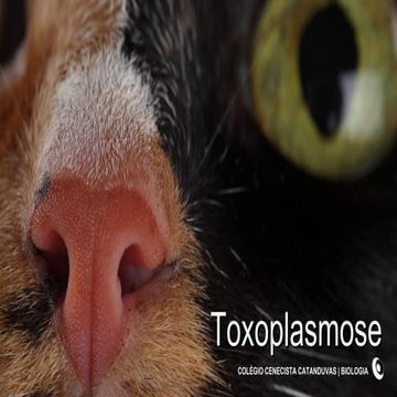 Toxoplasmose
