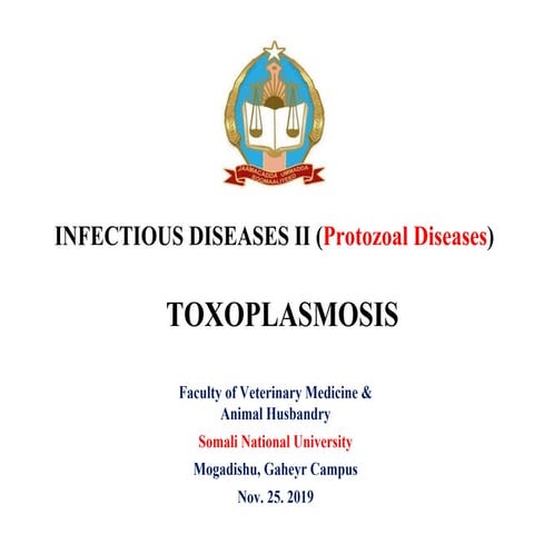 Toxoplasmosis