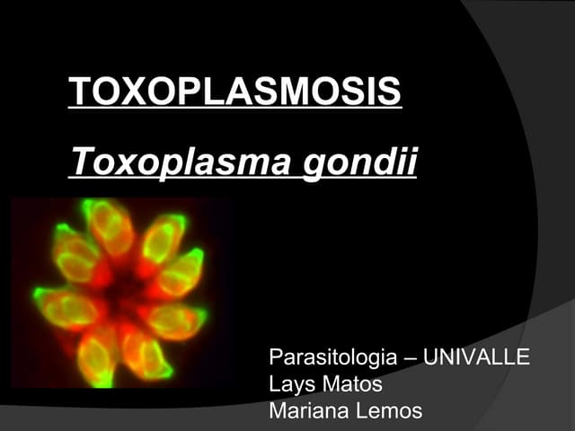 Inmunologia y Toxoplasmosis- Toxopl...