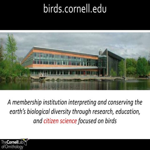 Tina Phillips (Cornell Lab of Ornithology) - the DEVISE project