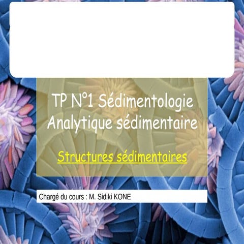 TP-structures-sc3a9dimentaires 2025.pptx