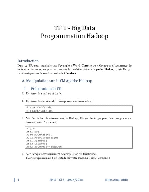 TP1 Big Data - MapReduce