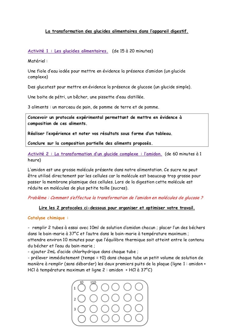 tp hydrolyse enzymatique de l