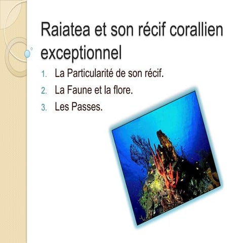 Raiatea et son récif corallien 