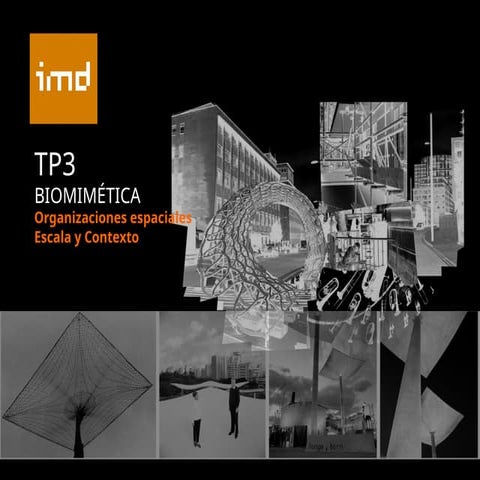 Clase 13_IMD F+R Trabajo Practico Nº3 Metamorfosis < Escala y Contexto