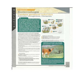 6° año Biología, Gen y Soc. TP Clon...