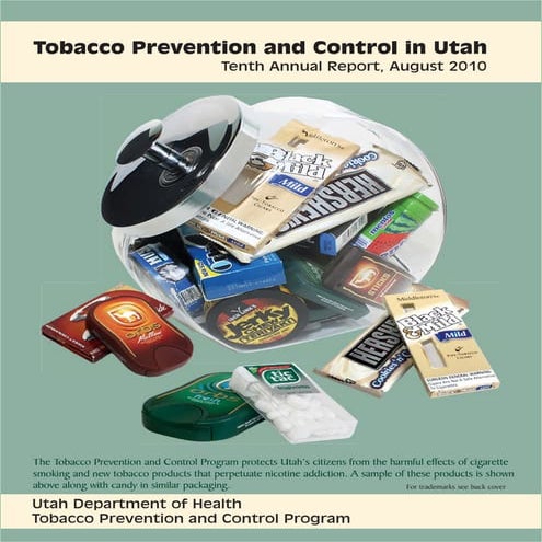 FY 2010 Annual Report-Tobacco Prevention and Control  Program 