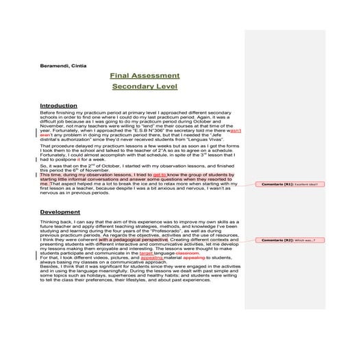 Tpd beramendi-trabajo de reflexión final-secondary level-checked (1)