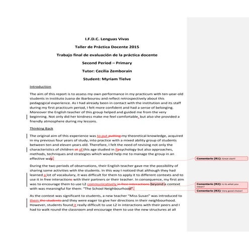Tpd 2015   tielve - second period final report - primary-checked 