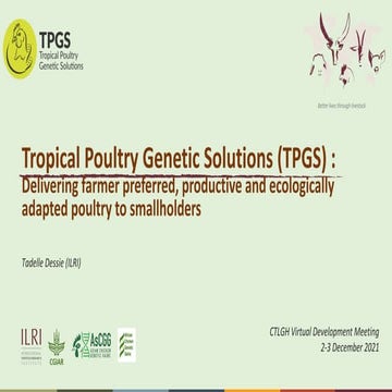 Tropical Poultry Genetic Solutions (TPGS): Delivering farmer preferred, produ...