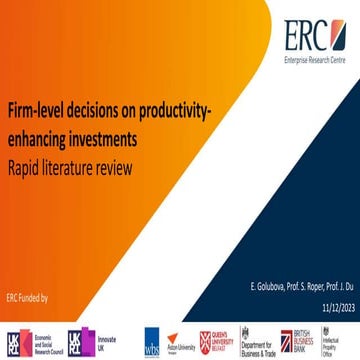 Firm-level decisions on productivity-enhancing investments Rapid literature r...