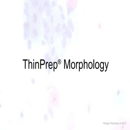 Thin prep morphology (Cervical cytology)