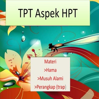 Tpt aspek hpt