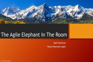 The agile elephant in the room