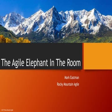 The agile elephant in the room