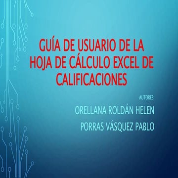 Guia de usuario_de_la_hoja_de_calculo