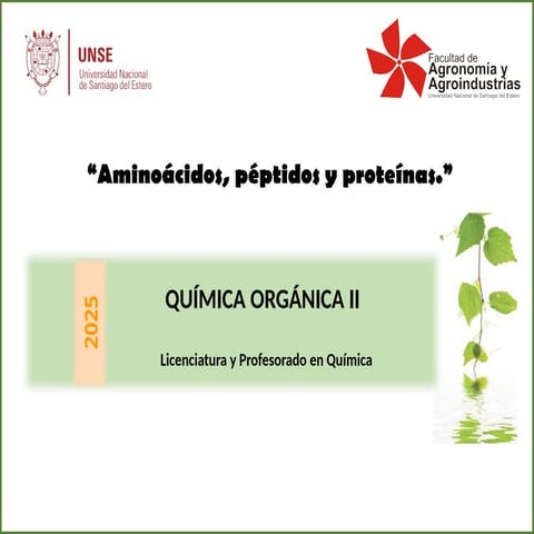 T_QOII_Aminoácidos en quimca organica_2025.pptx