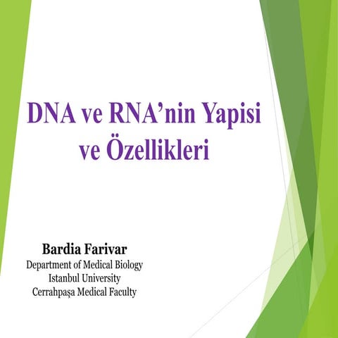 DNA ve RNA’nin Yapisi ve Ozellikleri