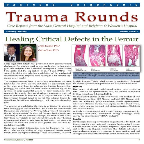 Healing Critical Defects in the Femur