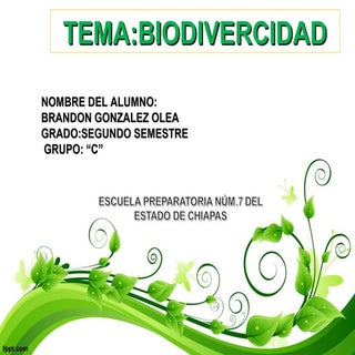 DIAPOSITIVA DE LA BIODIVERCIDAD