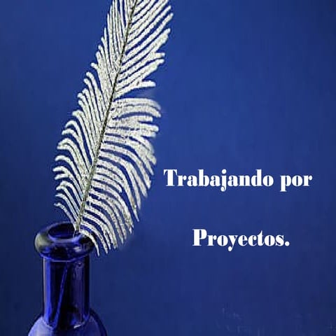 TRABAJANDO POR PROYECTOS