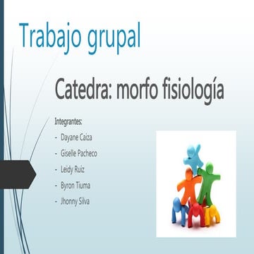 Trabajo grupal