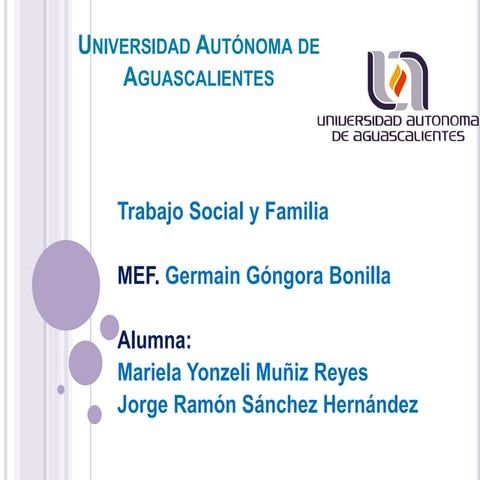 Concepto y funciones del modelo en el trabajo social