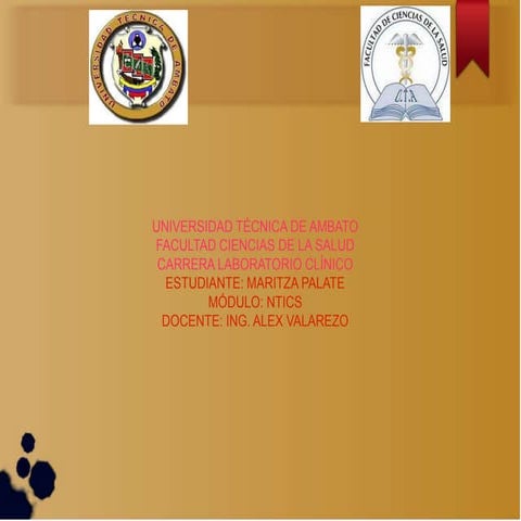 Trabajo02 maritza palate