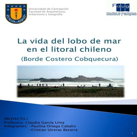 Tour de arquitectura bioclimatica en puno | PDF