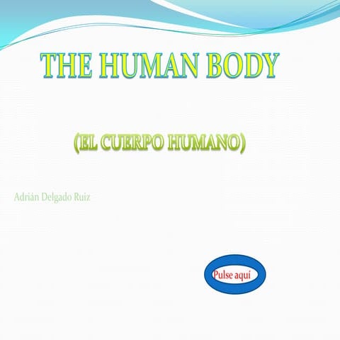 Trabajo adrian de e.fisica