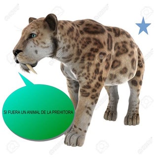 Trabajo animal prehistorico