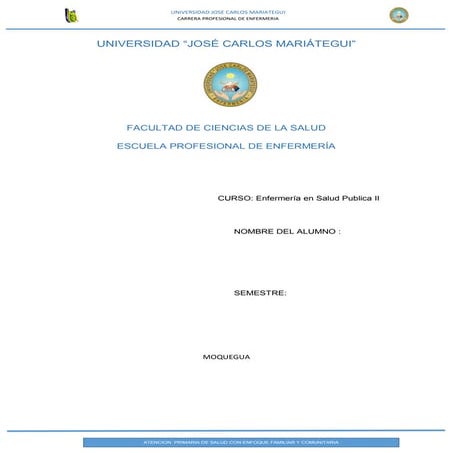 Trabajo atencion  primaria de salud con enfoque familiar y comunitaria