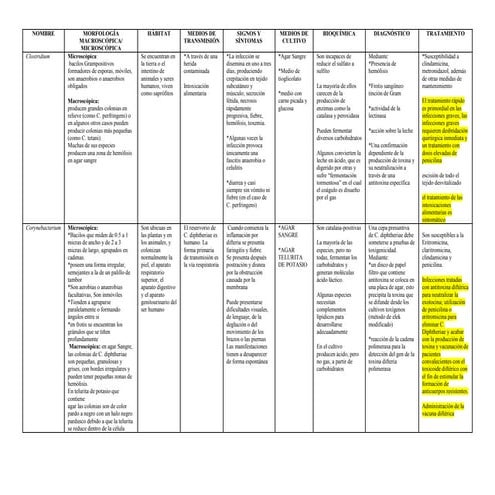bacteriologia, bacterias de interés médico