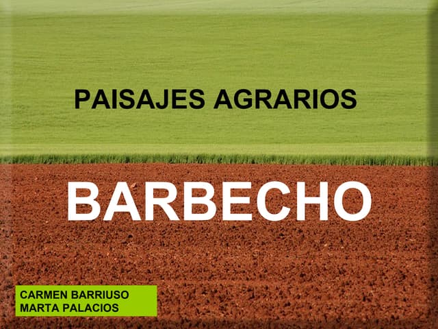 Barbecho CyM