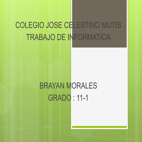 Trabajo brayan