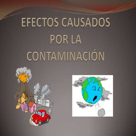 Efectos causados por la contaminación por Guille C.