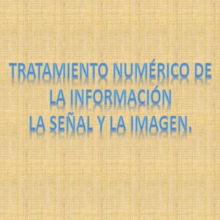 Tratamiento numérico de la informac...