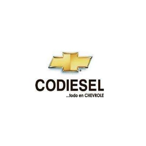 Codiesel S.A | PPT