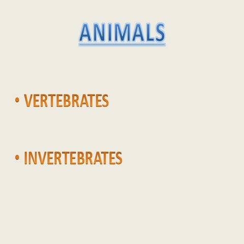 VERTEBRATES AND INVERTEBRATES