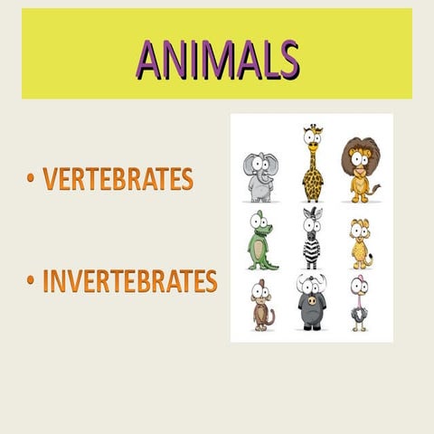 ANIMALS vertebrates and invertebrates