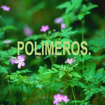 Trabajo De Ciencias Beto