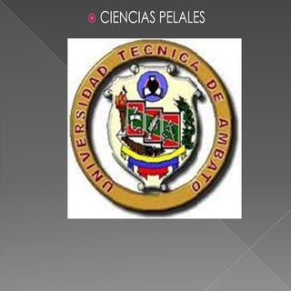 Trabajo de ciencias penales