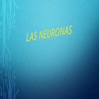 Trabajo de cono las neuronas