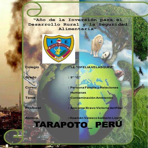 Trabajo de contaminacion ambiental
