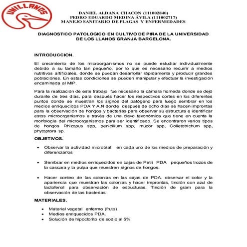 Trabajo de diagnostico