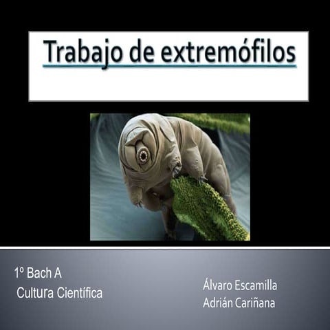 Trabajo de extremófilos | PPTX