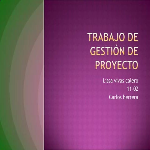 Trabajo de gestión de proyecto (1)
