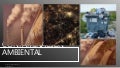 Trabajo de impacto ambiental 1.2 1 trabajodeimpactoambiental1 211113235224 thumbnail 2