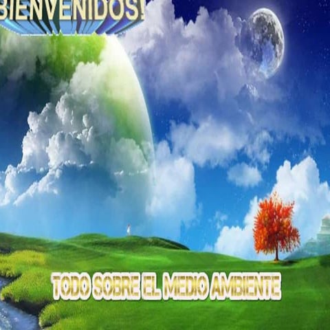 Medio Ambiente
